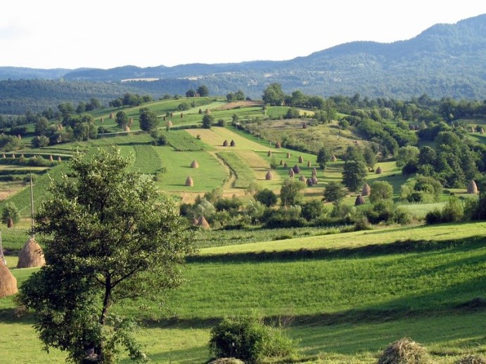 maramures haystacks