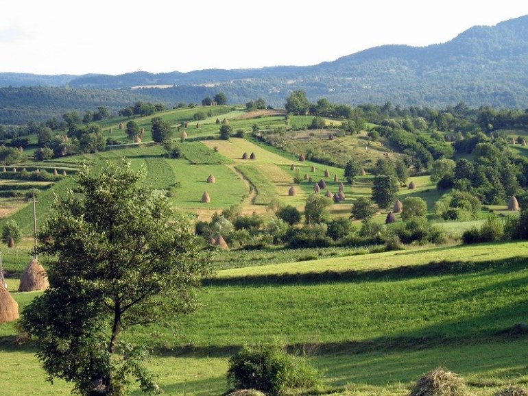 maramures haystacks