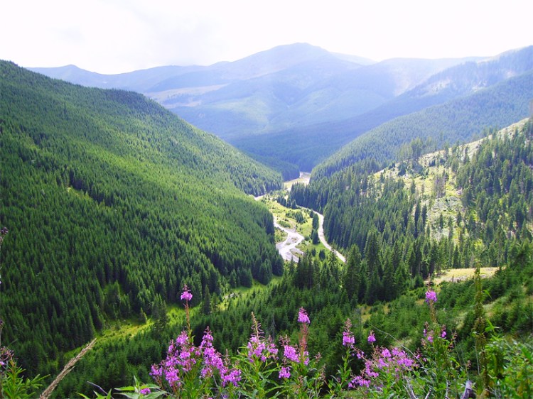 Wild Volcanic northern Carpathia