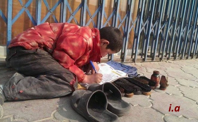 work study diligence in Turkistan